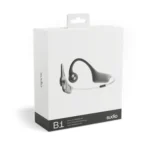 Sudio B1 True Wireless - bone conductor headphones, Black